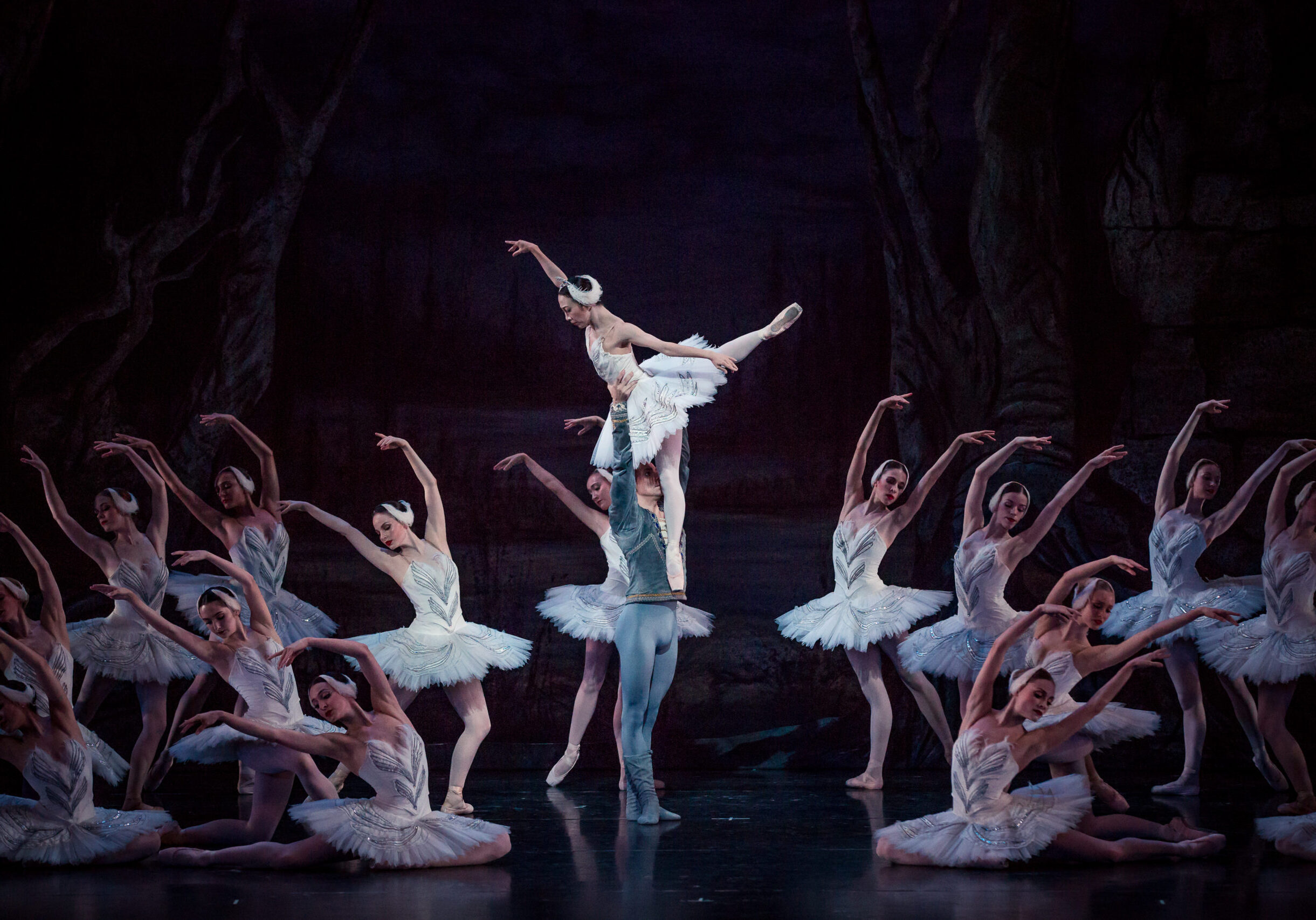 Oklahoma City Ballet Swan Lake promotional image